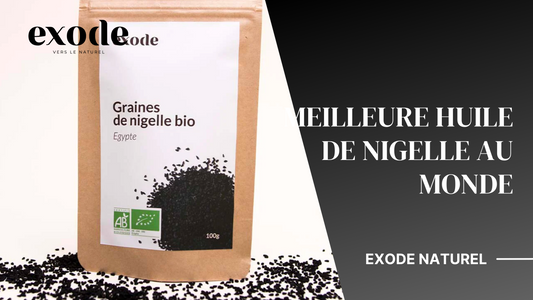 Meilleure huile de Nigelle au monde : Notre guide d’achat complet