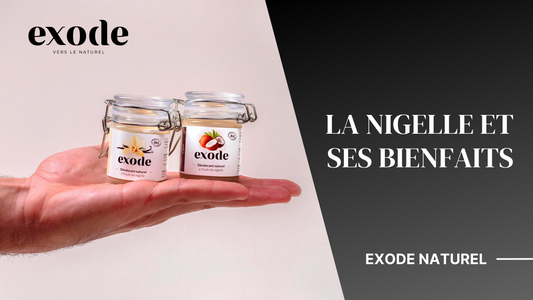 La nigelle et ses bienfaits indénombrables