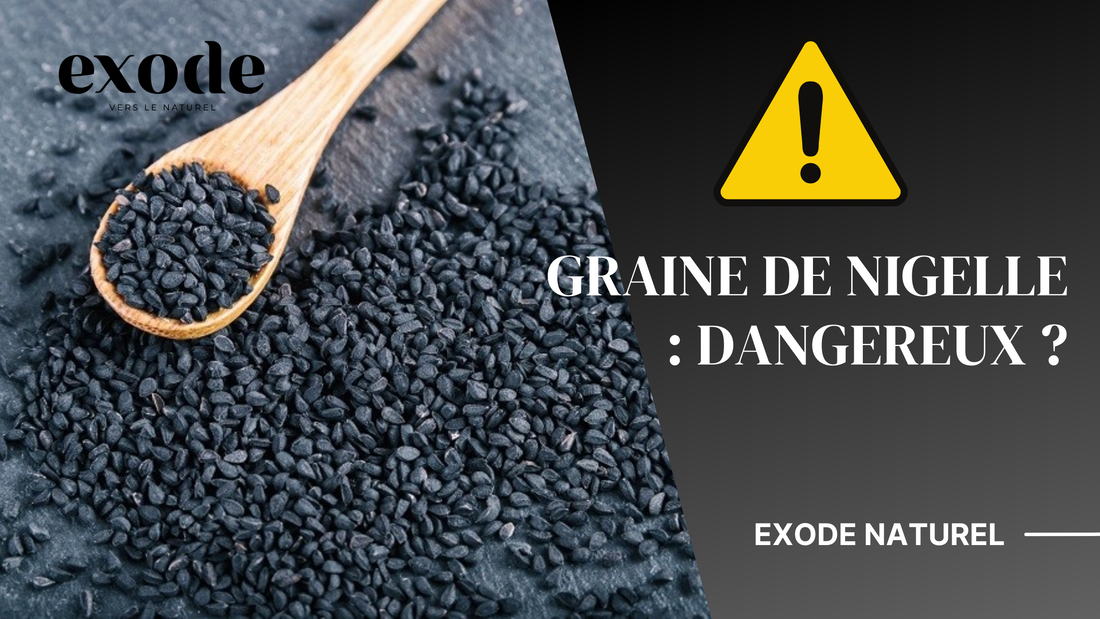 Graine de nigelle : dangereux ?