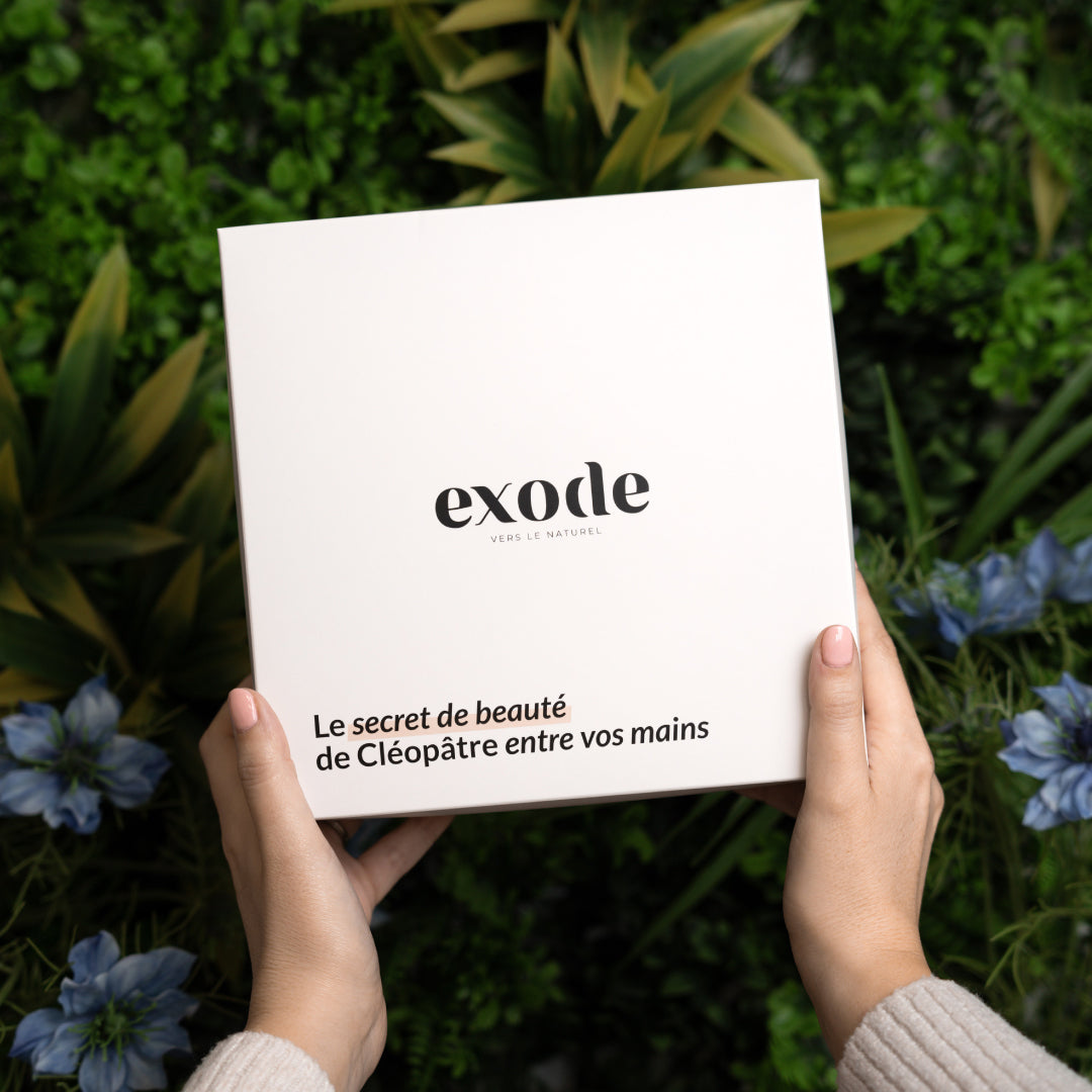 Boîte Cadeau