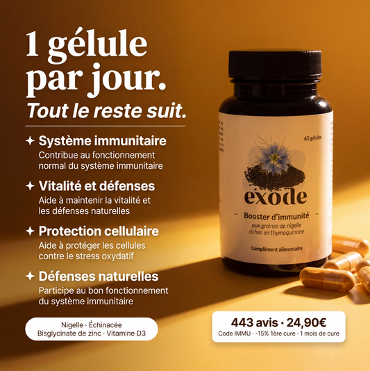 Gélules de nigelle