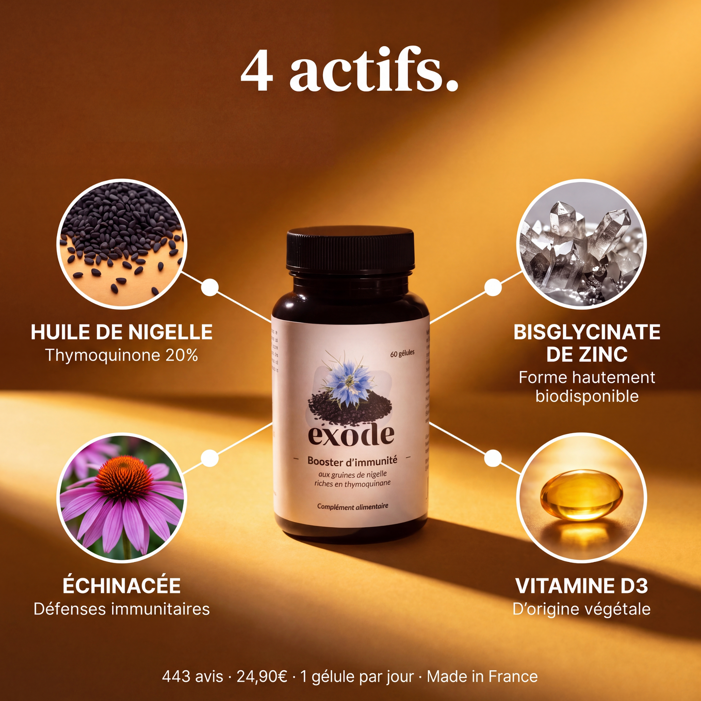 Gélules de nigelle