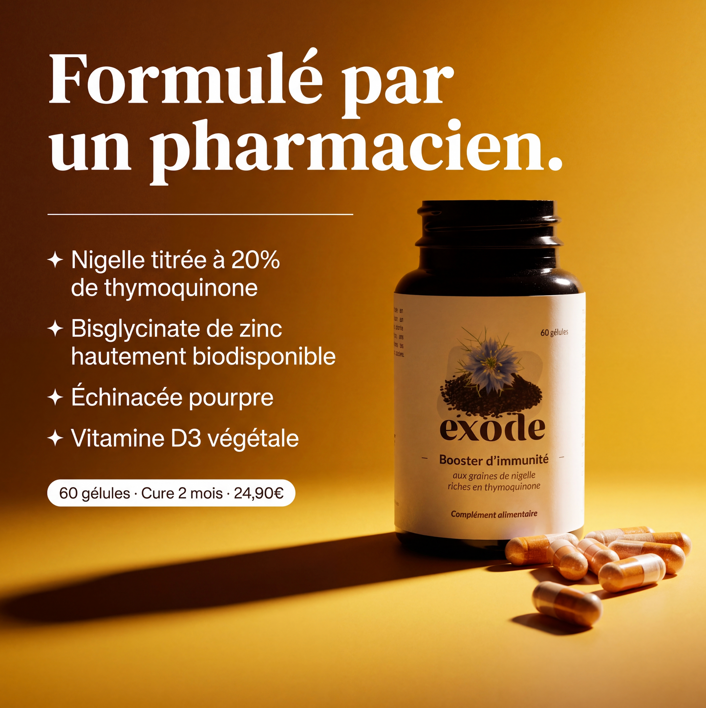 Gélules de nigelle